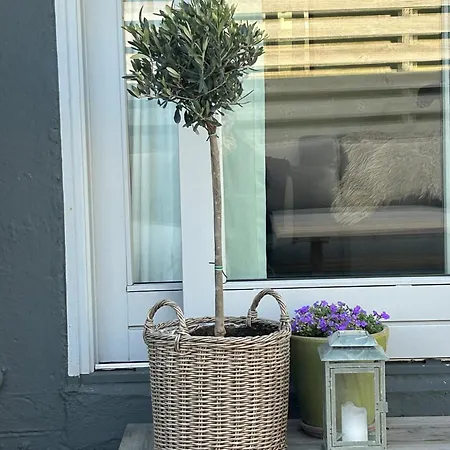 Heerlijk Zomerhuis Vlak Bij Fijn Vakantiehuis